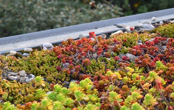 the cost of Kilraghts green roof installation