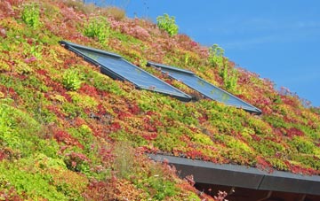Kilraghts living roof systems