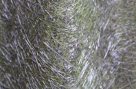 Kilraghts fibreglass roof work